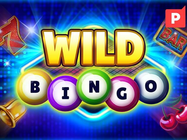 9000 bet Bingo Selvagem